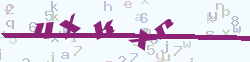 verify_code